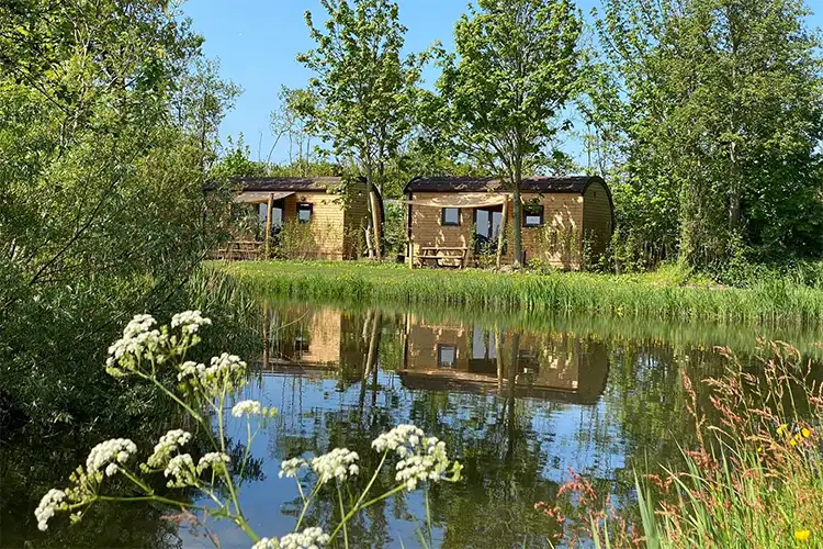 Camping omgeving Schoorl