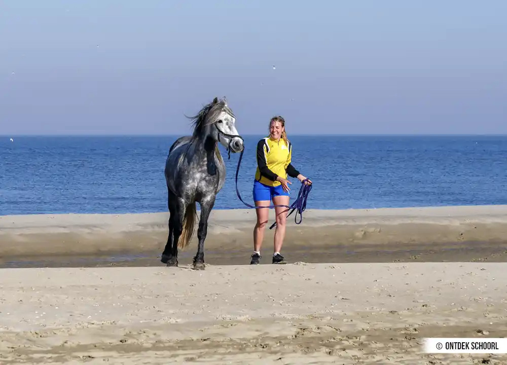Paardrijden op het strand van Schoorl