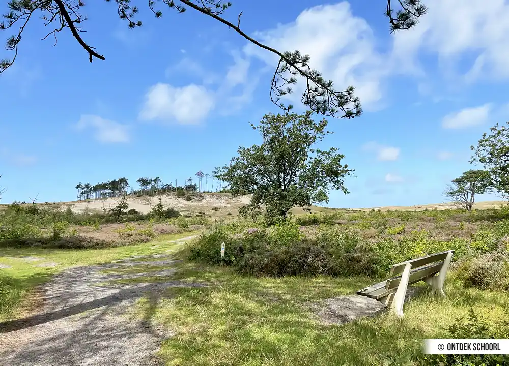 Prachtig landschap om in te wandelen in Schoorl.