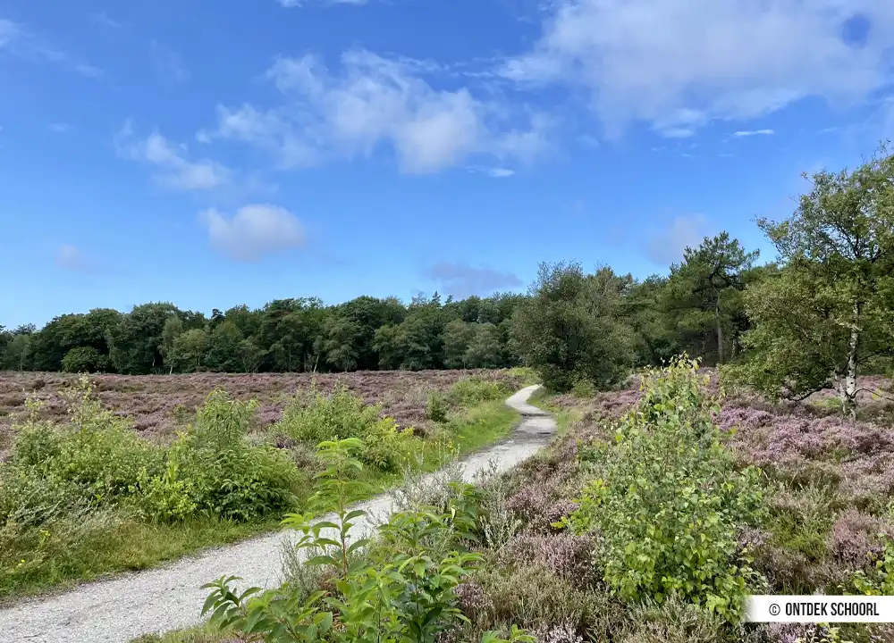 Natur in Schoorl