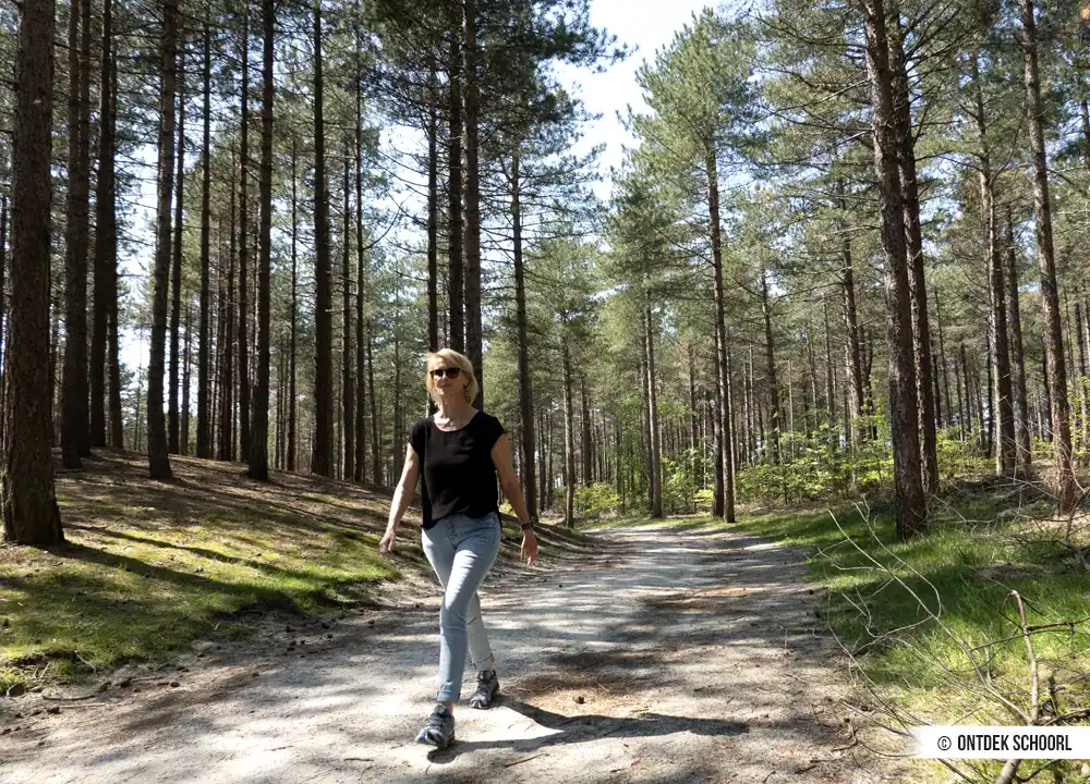 Wandern im Wald von Schoorl