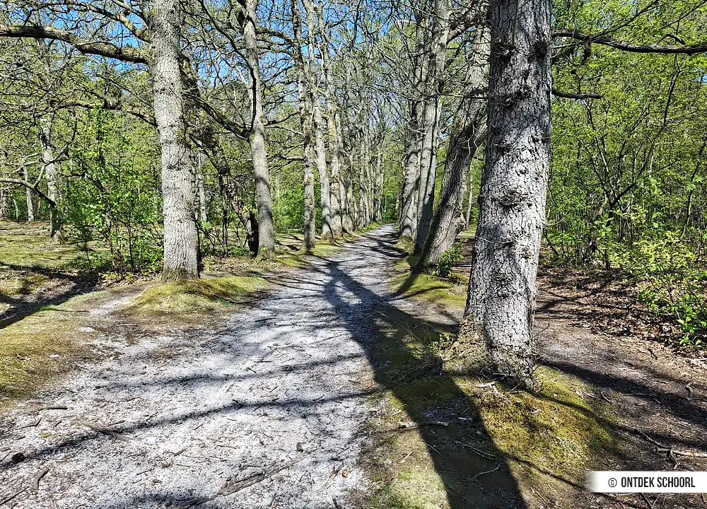 Wandelpad in de Bokkenheide