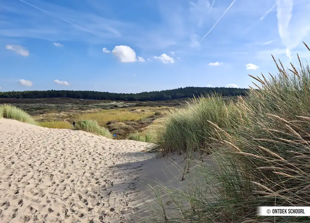 Waldrand bei De Kerf