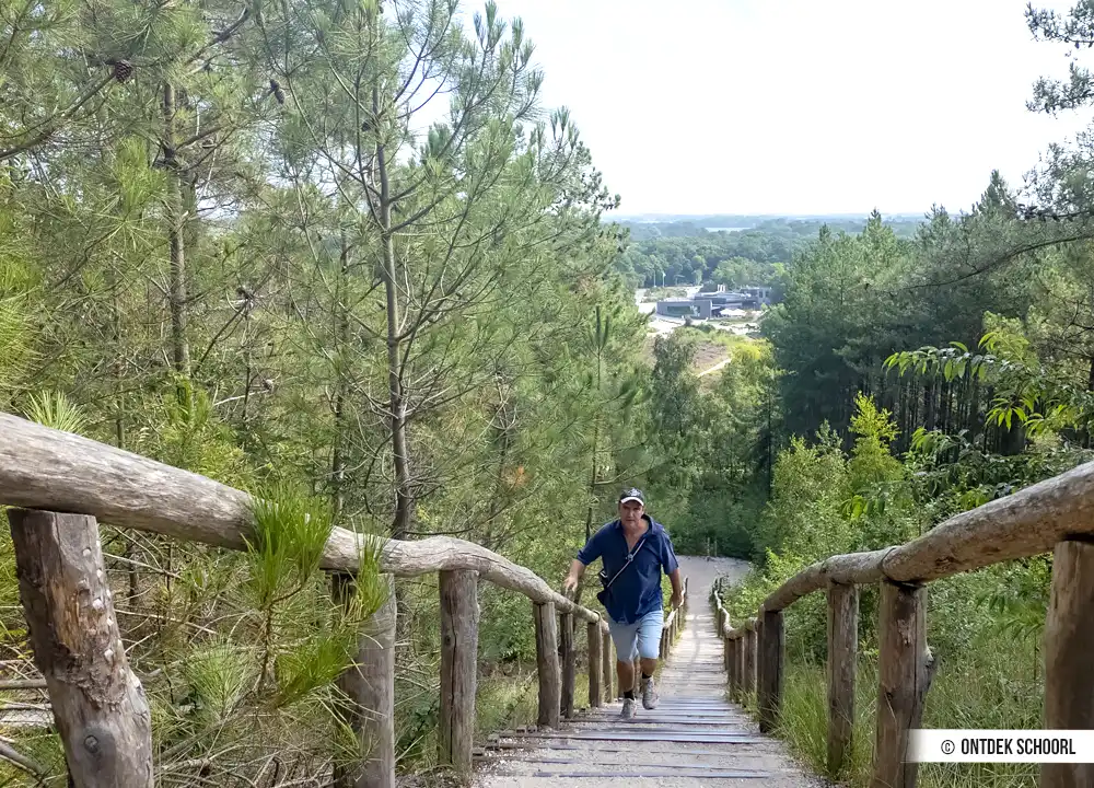 Dünentreppe Besucherzentrum Schoorlse Duinen