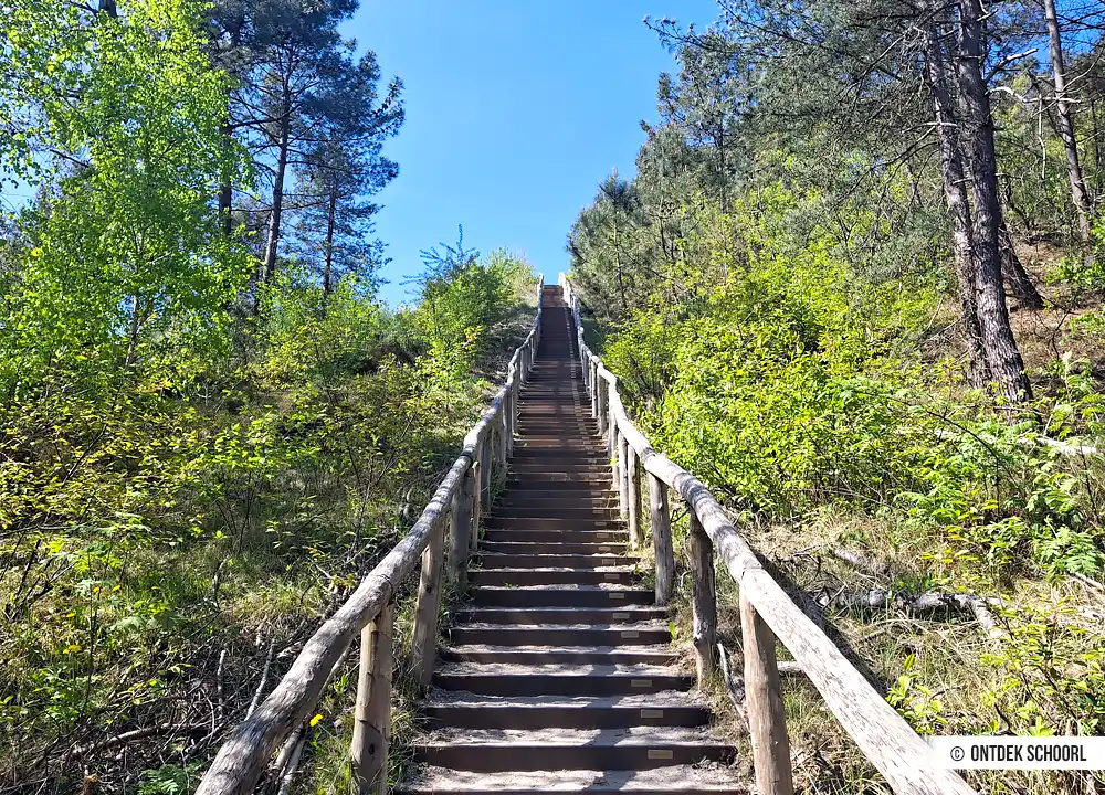 Dünentreppe Besucherzentrum Schoorlse Duinen