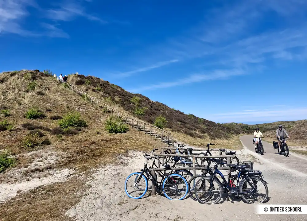 Dünentreppe De Zwarte Blink