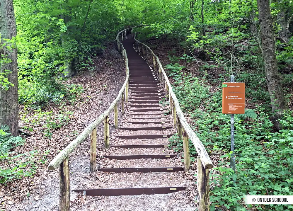 Dünentreppe Roetroute