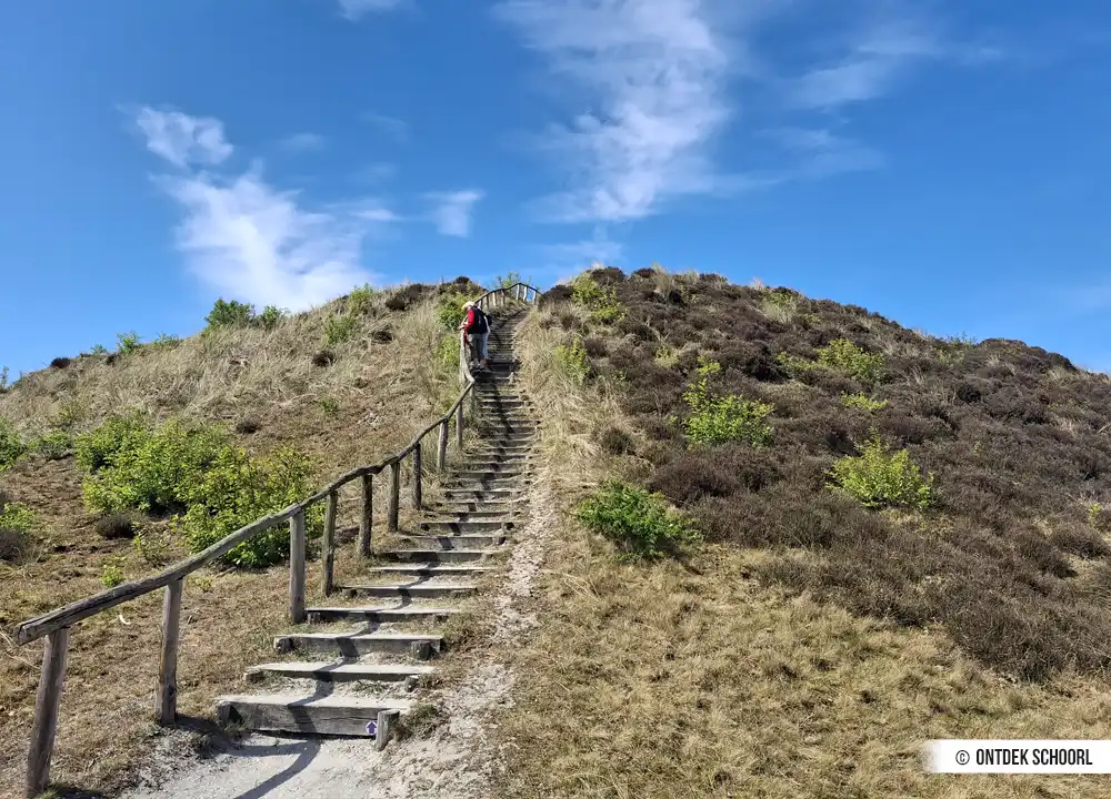 Dünentreppe in den Schoorlse Duinen
