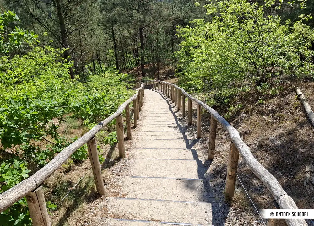 Dünentreppe Schoorlse Zeeweg 