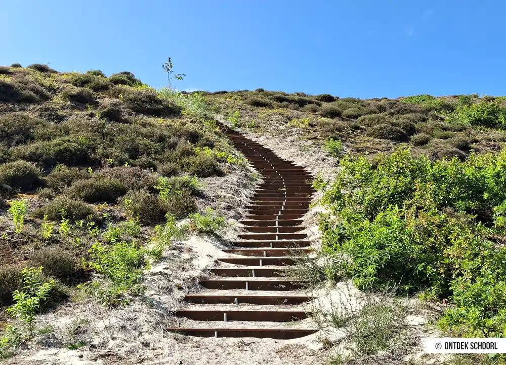 Dünentreppe Aussichtsdüne De Kerf