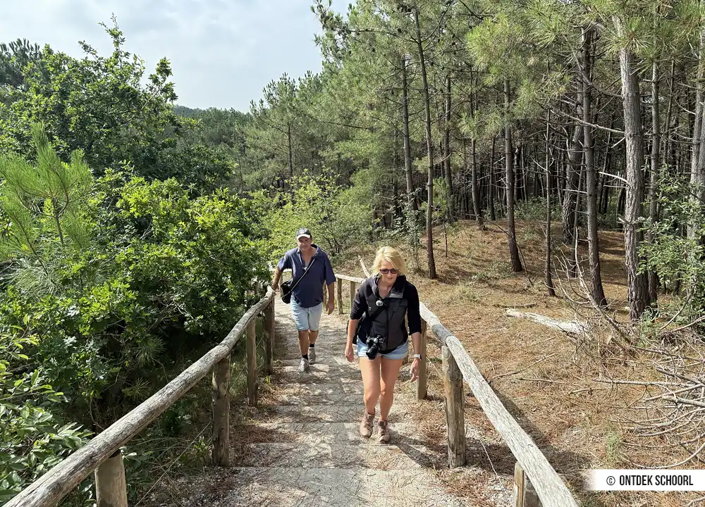 Duintrap Schoorlse Zeeweg.