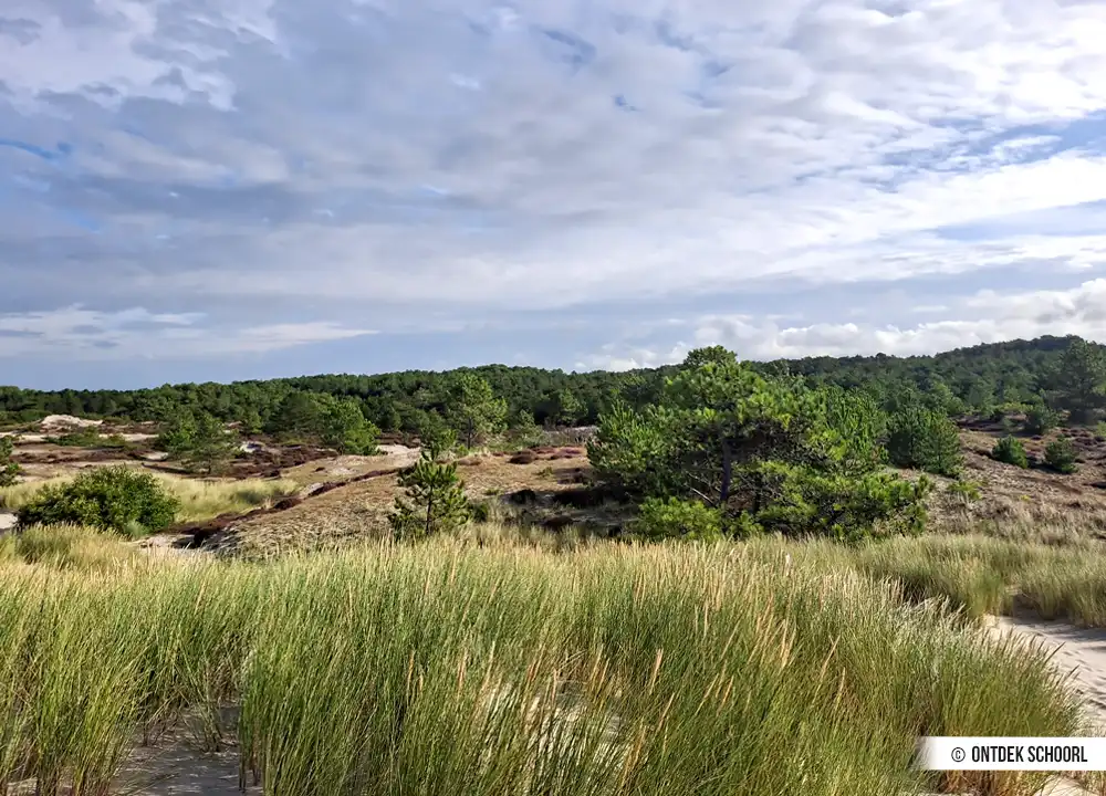 Bomen en planten Hargerplas
