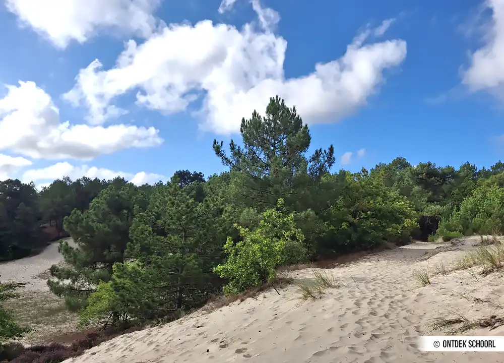 Jan Bas z’n tuintje in den Schoorlse Duinen