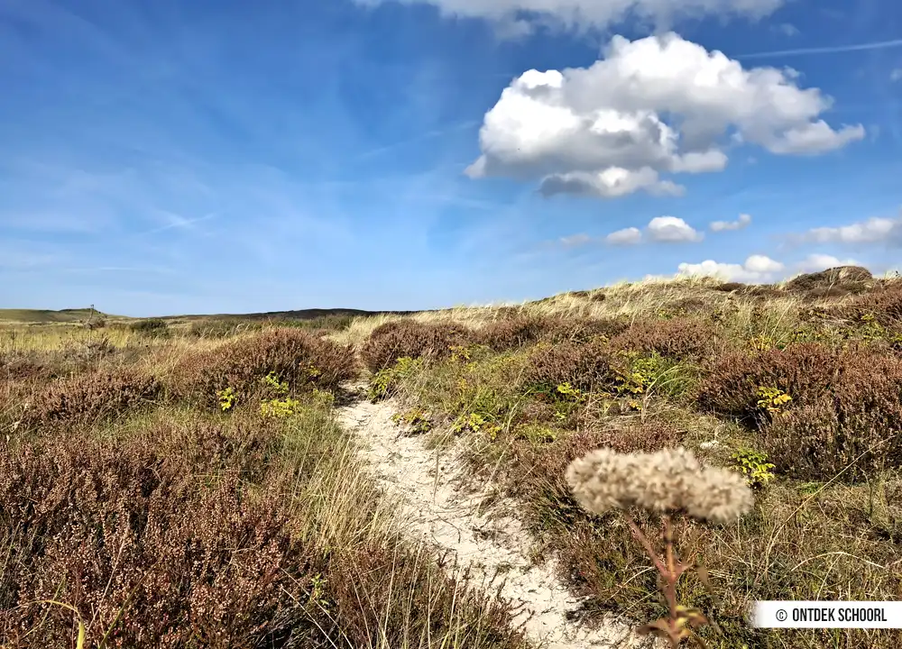 Wanderweg im Parnassia Vallei.