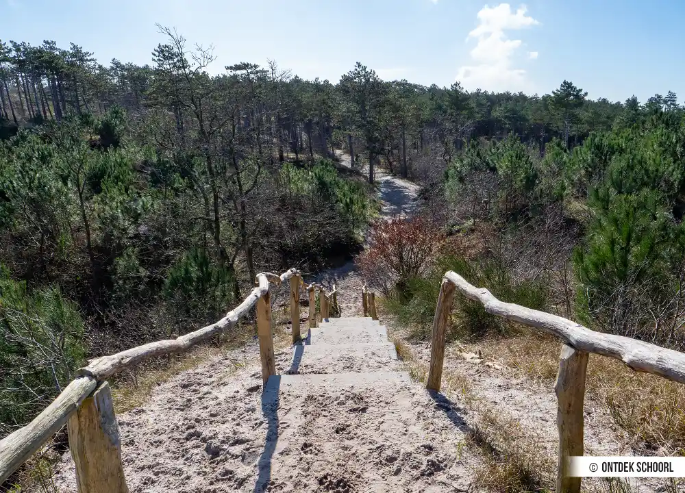 Wandelen Schoorlse Duinen