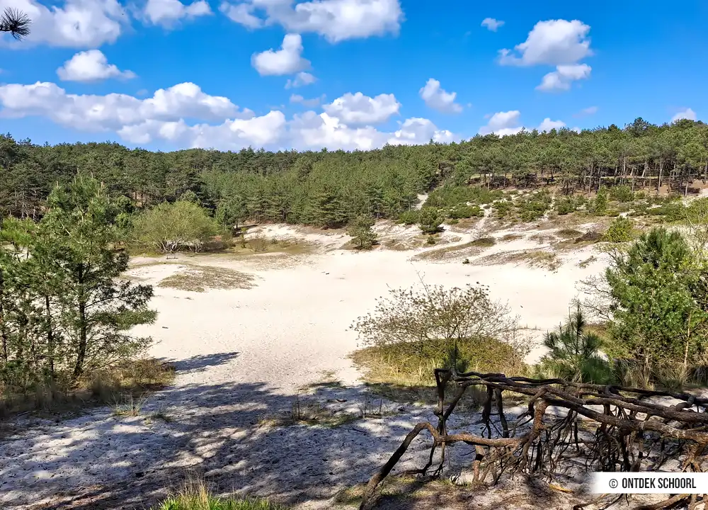 De Speelkuil in de Schoorlse Duinen