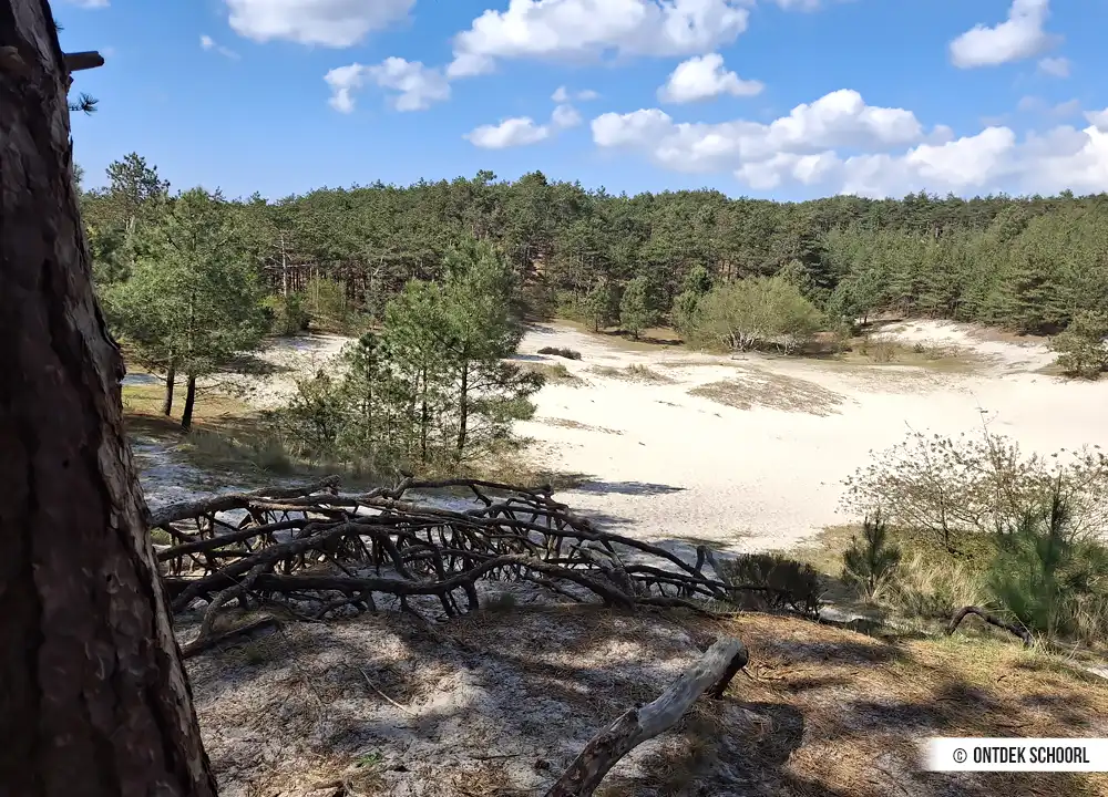 Die Speelkuil in den Schoorlse Duinen.