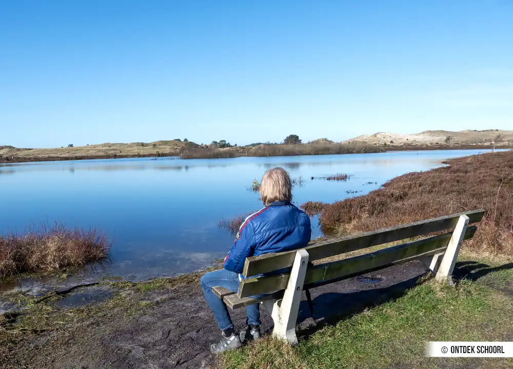 Sitzbank am Vogelmeer