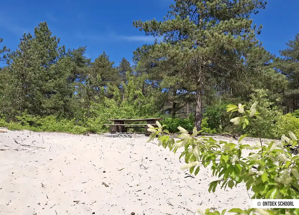 Picknicktisch im Wulpendal.