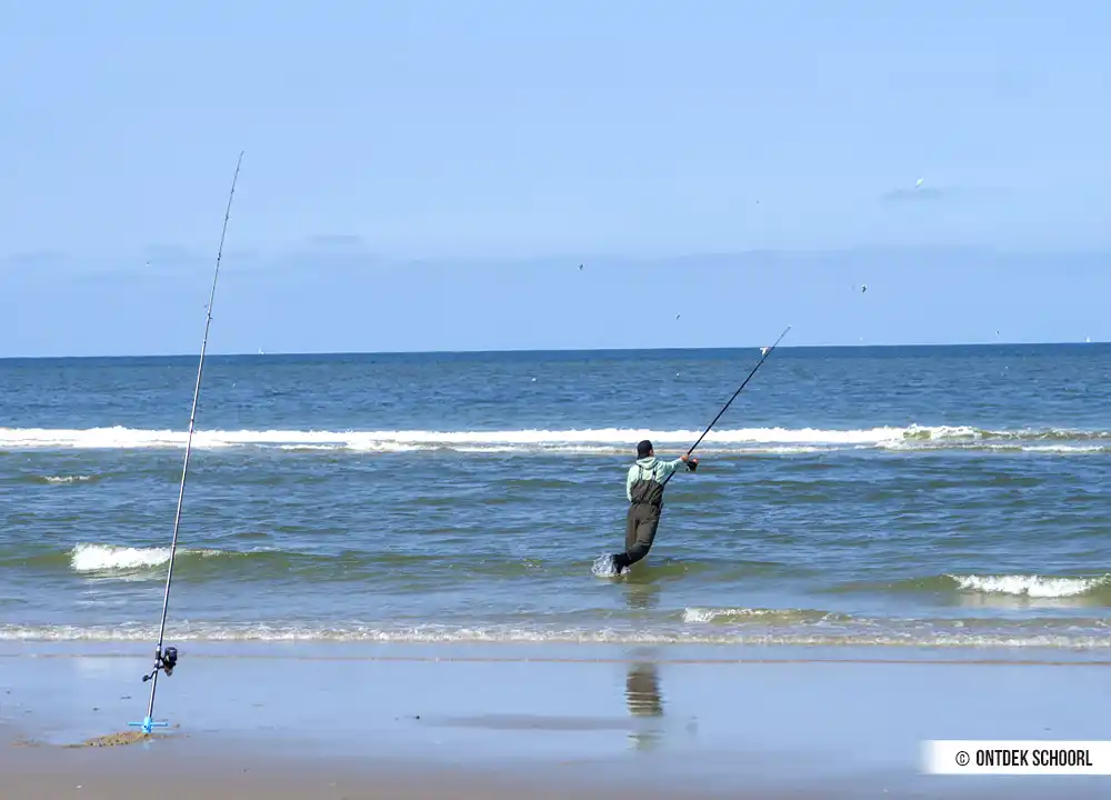 Vissen in de Noordzee 