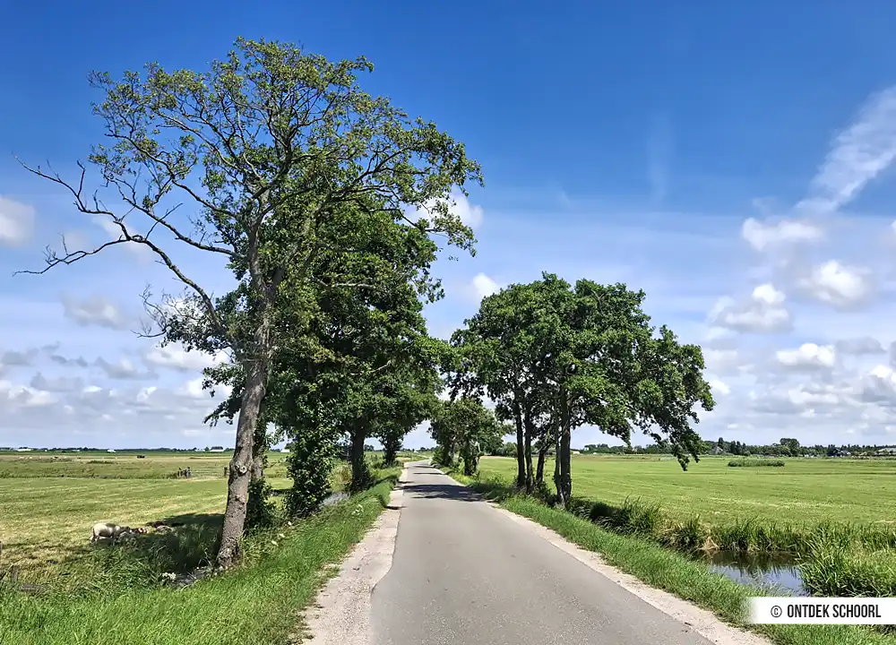 Landschap Blauwe Route Schoorl