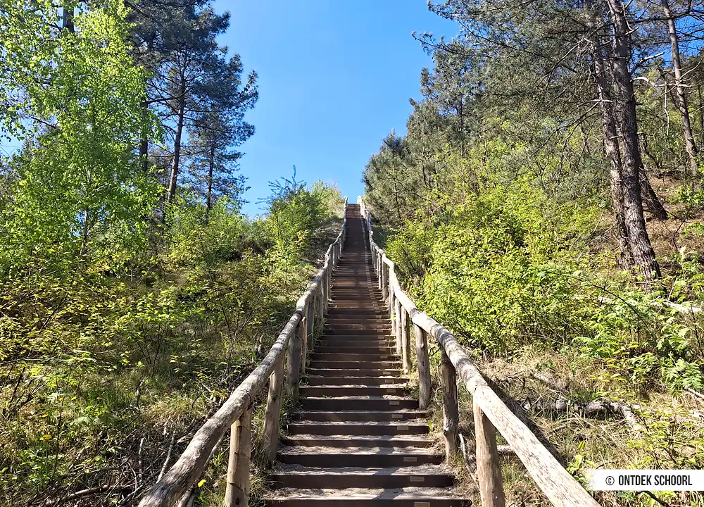 Duintrap Schoorlse Duinen. Foto door Richard Schijf.