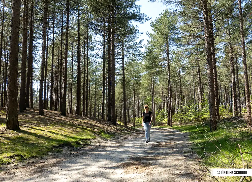 Wandelpad Boswachterspad Noordzeewandeling. Foto door Frank Schijf.