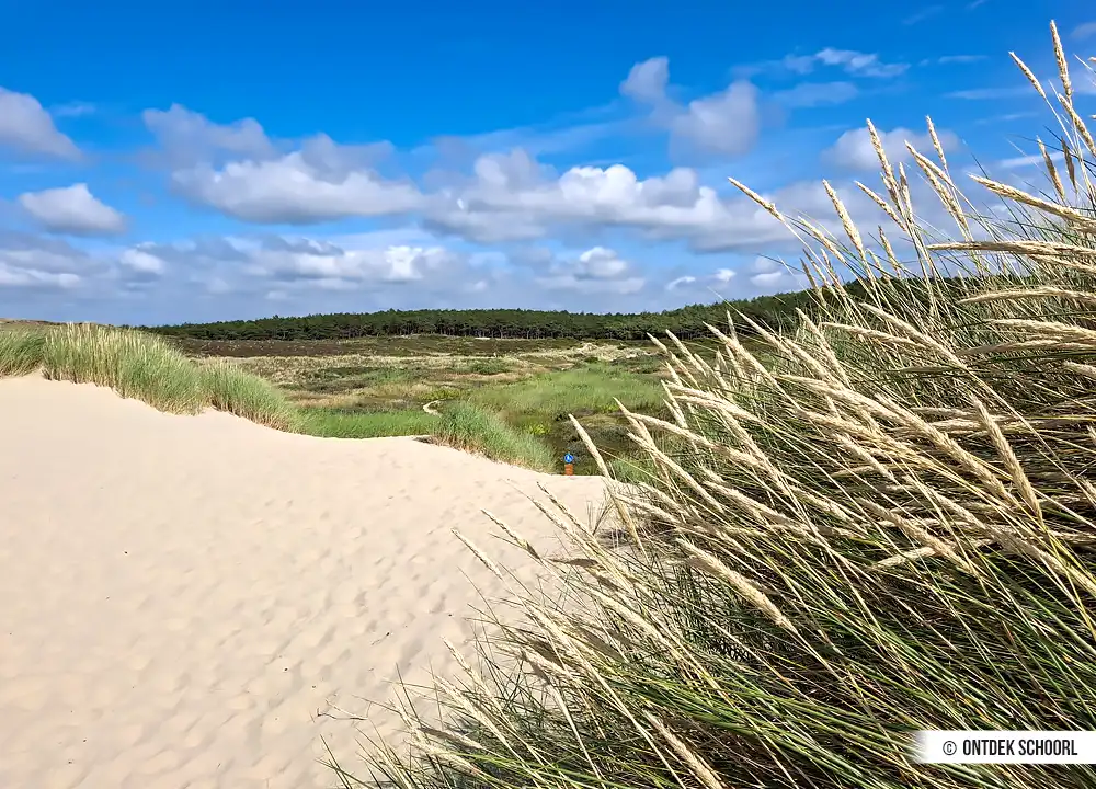 De Baaknol. Foto door Richard Schijf.