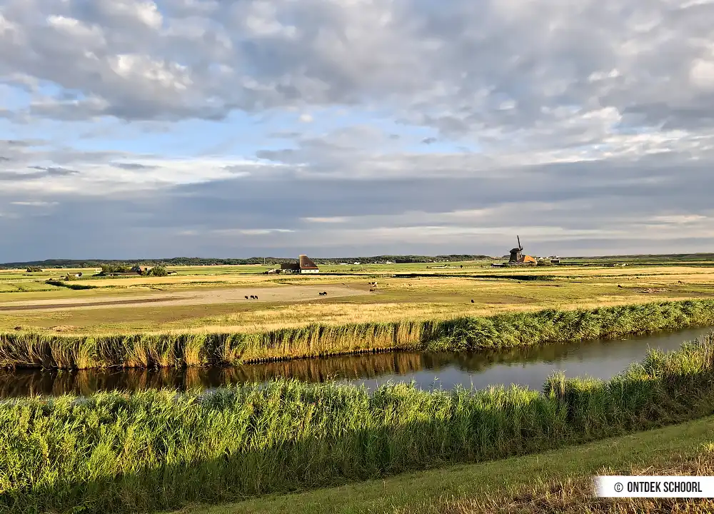 Landschap in de omgeving van Petten en Schoorl