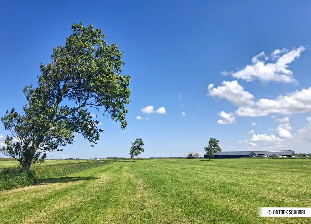Kanufahren auf der Hondsbossche Vaart.