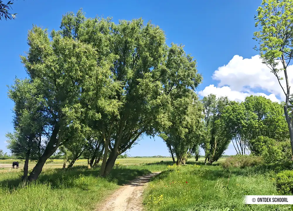 Landschaft Dijkenroute 