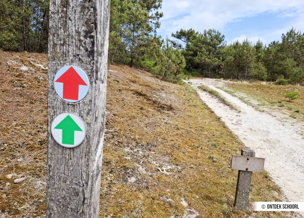 Schoorlse Duinen