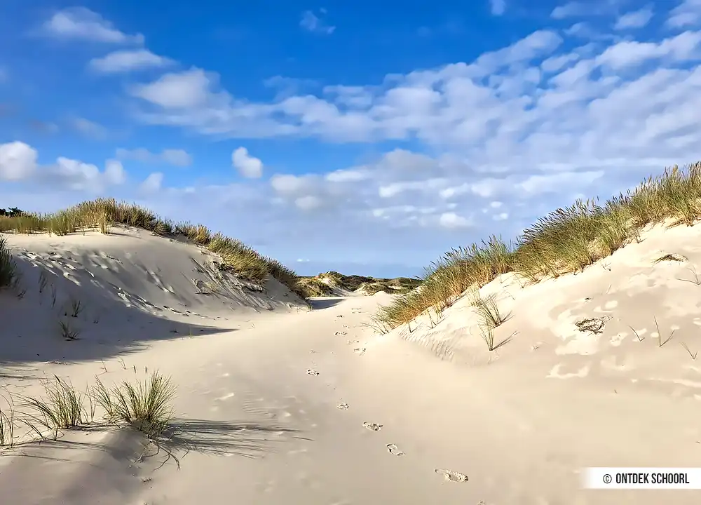 Stuifduinen in de Schoorlse Duinen