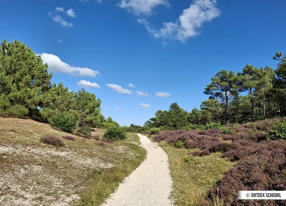 Wandelpad Schoorlse Duinen