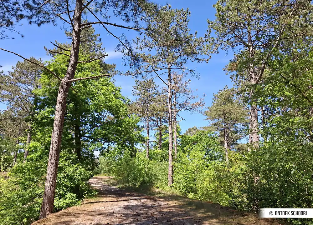 Wandelpad Familieroute Schoorlse Duinen.