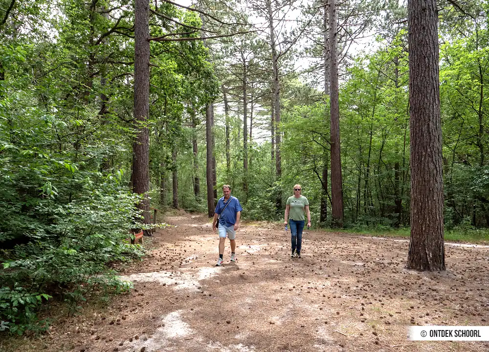 Wandelen Gele-route Schoorlse Duinen en het Noordhollands Duinreservaat.