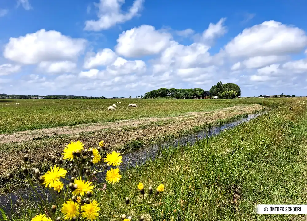 Polderlandschaft Schoorls