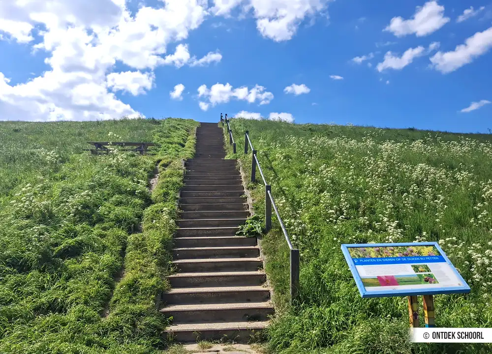 Stenen trap Hondsbossche Zeewering