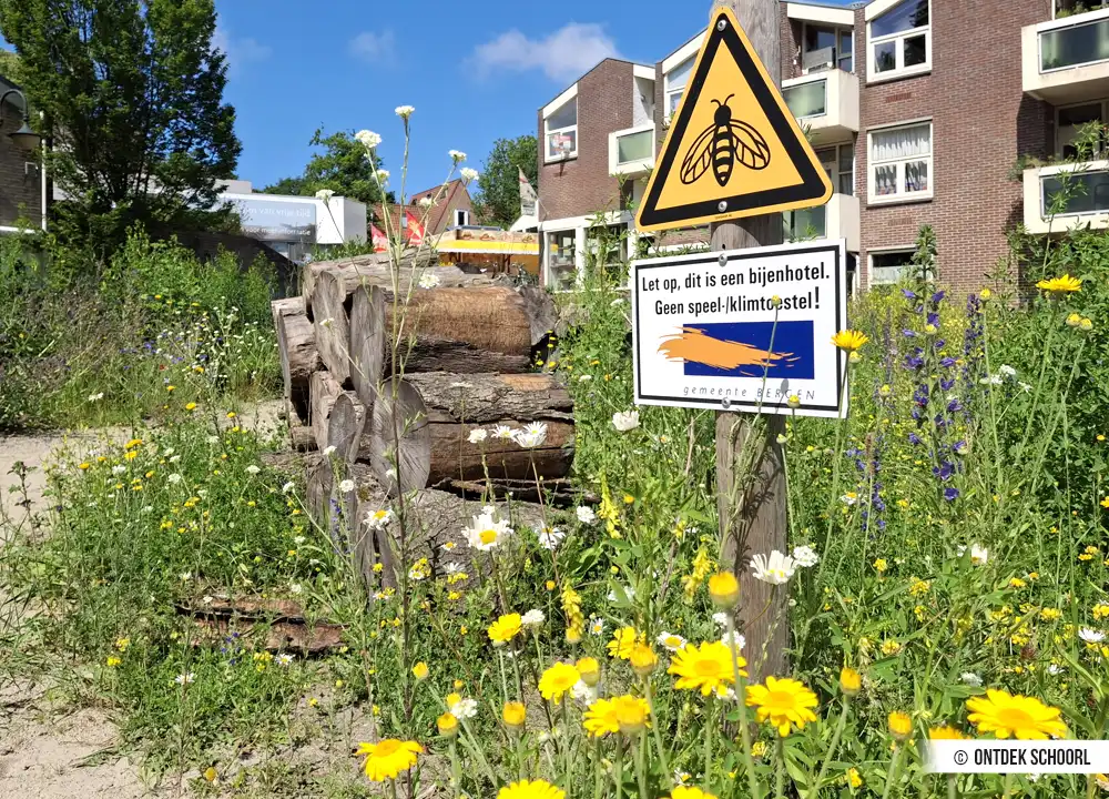 Bijenhotel