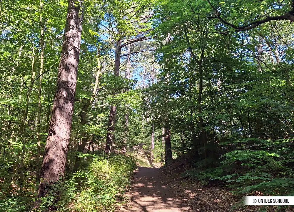 Wandelpad Oranje-route Schoorlse Duinen.