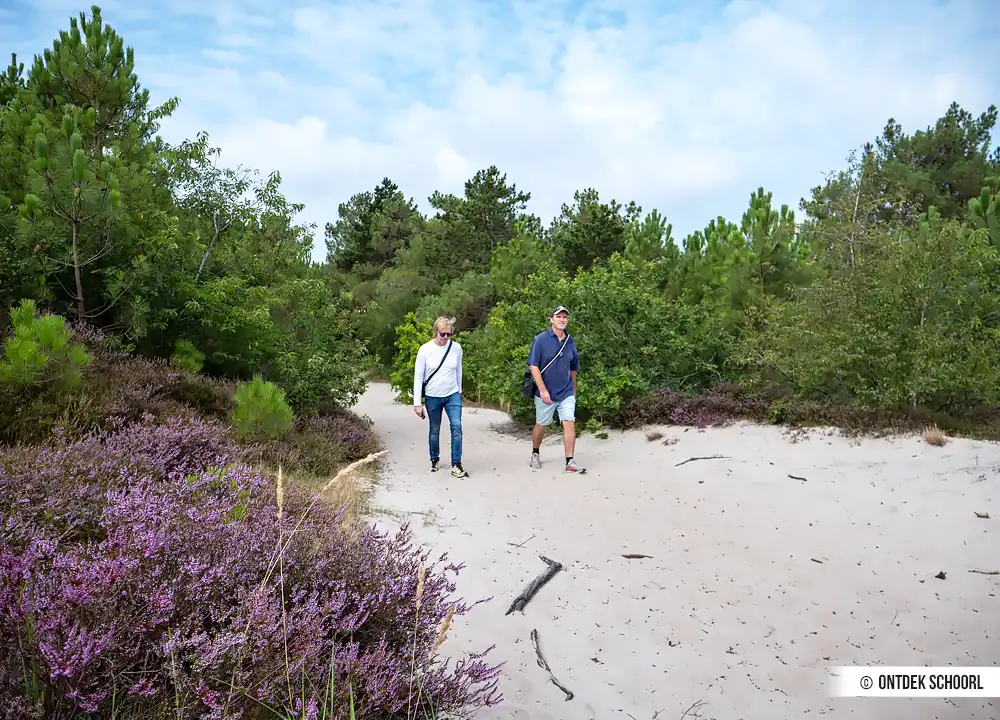 Wandelen Uitkijkroute in de Schoorlse Duinen. Foto door Karin Schijf.